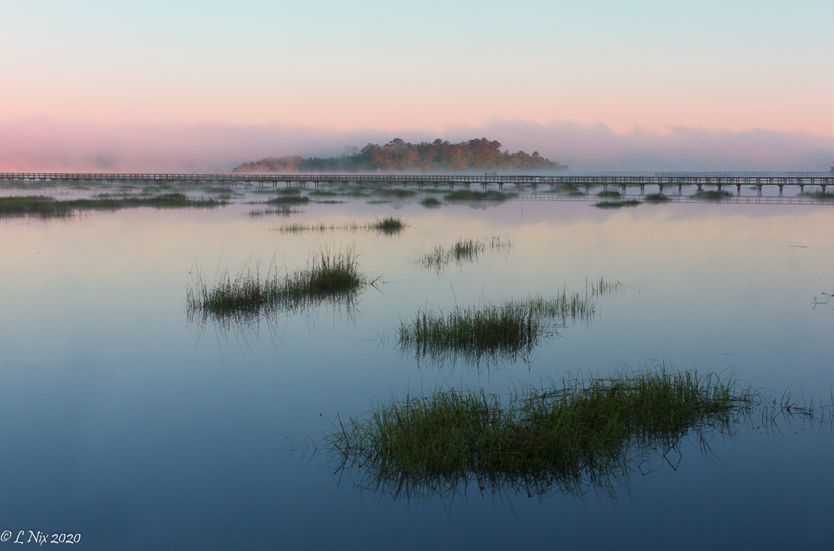 Fog over Big Bull Island by Lamar Nix