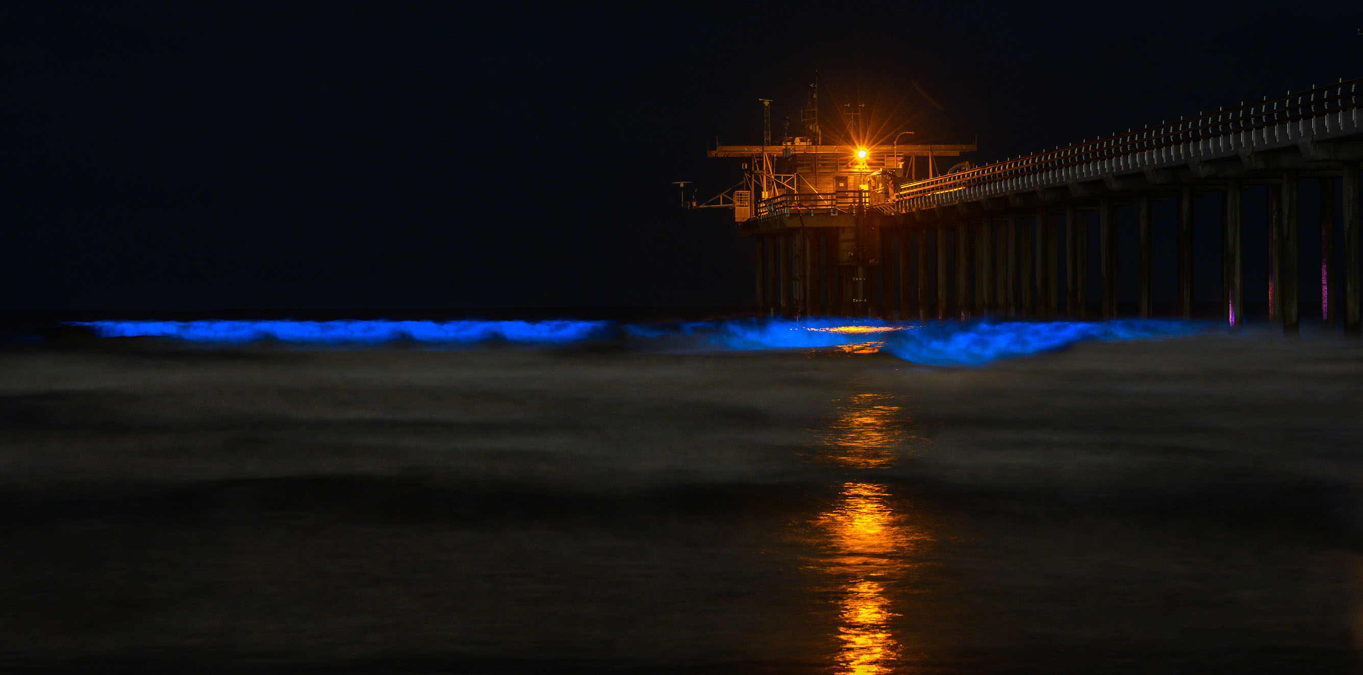 Bioluminescent Waves by John Zhu