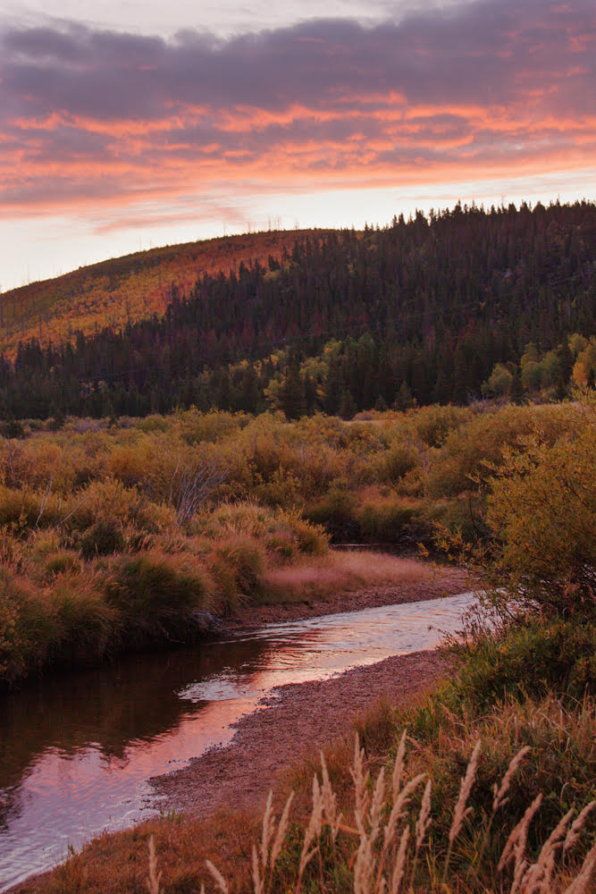 Sunrise in The Rocky Mountains by Mary Frost