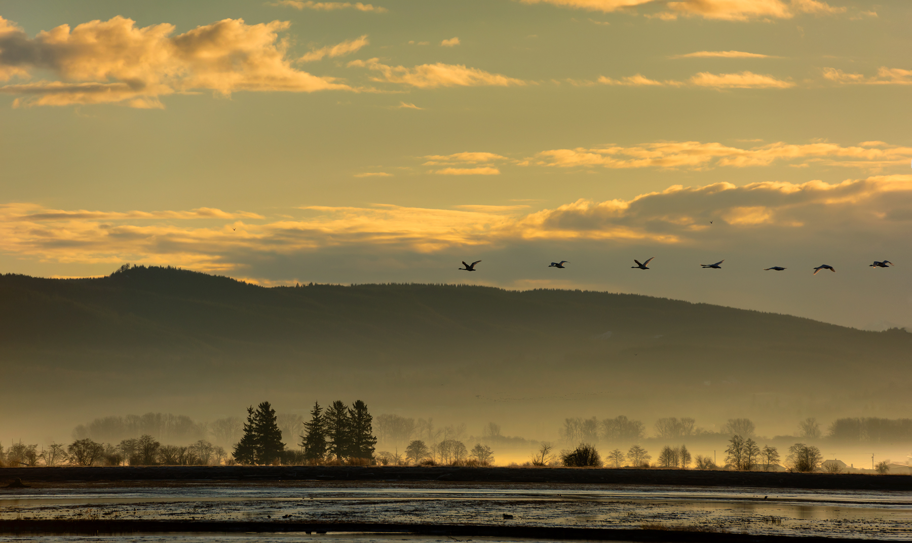  Sunrise at Skagit Valley by Peter Cheung