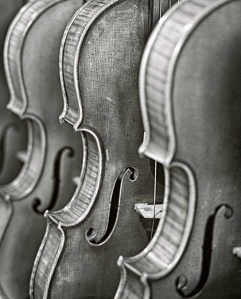 Violins by Pamela Hoaglund