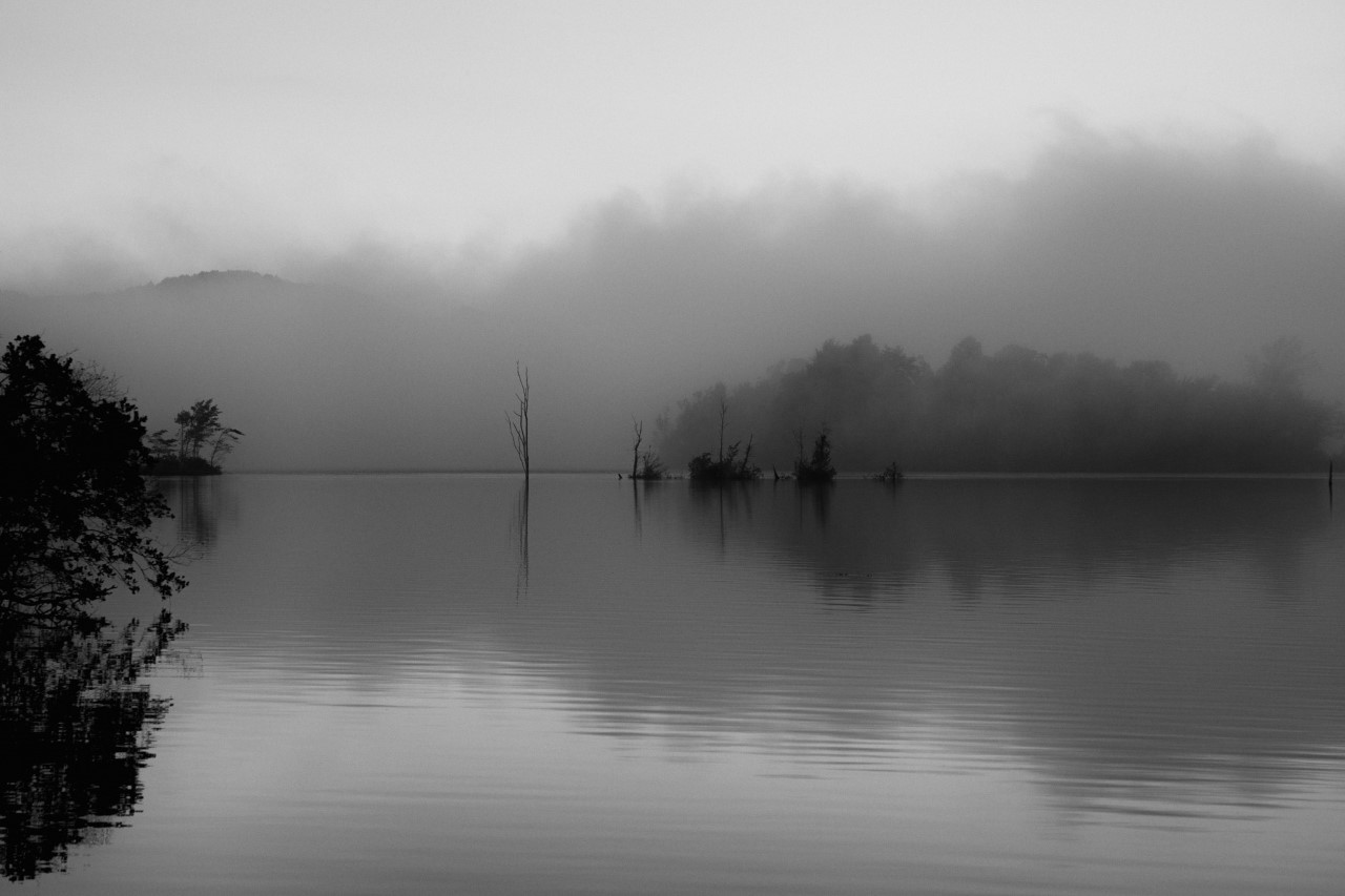 Morning Fog by Sanford Morse