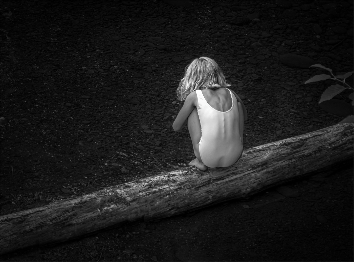 Girl on a Log by Witta Priester