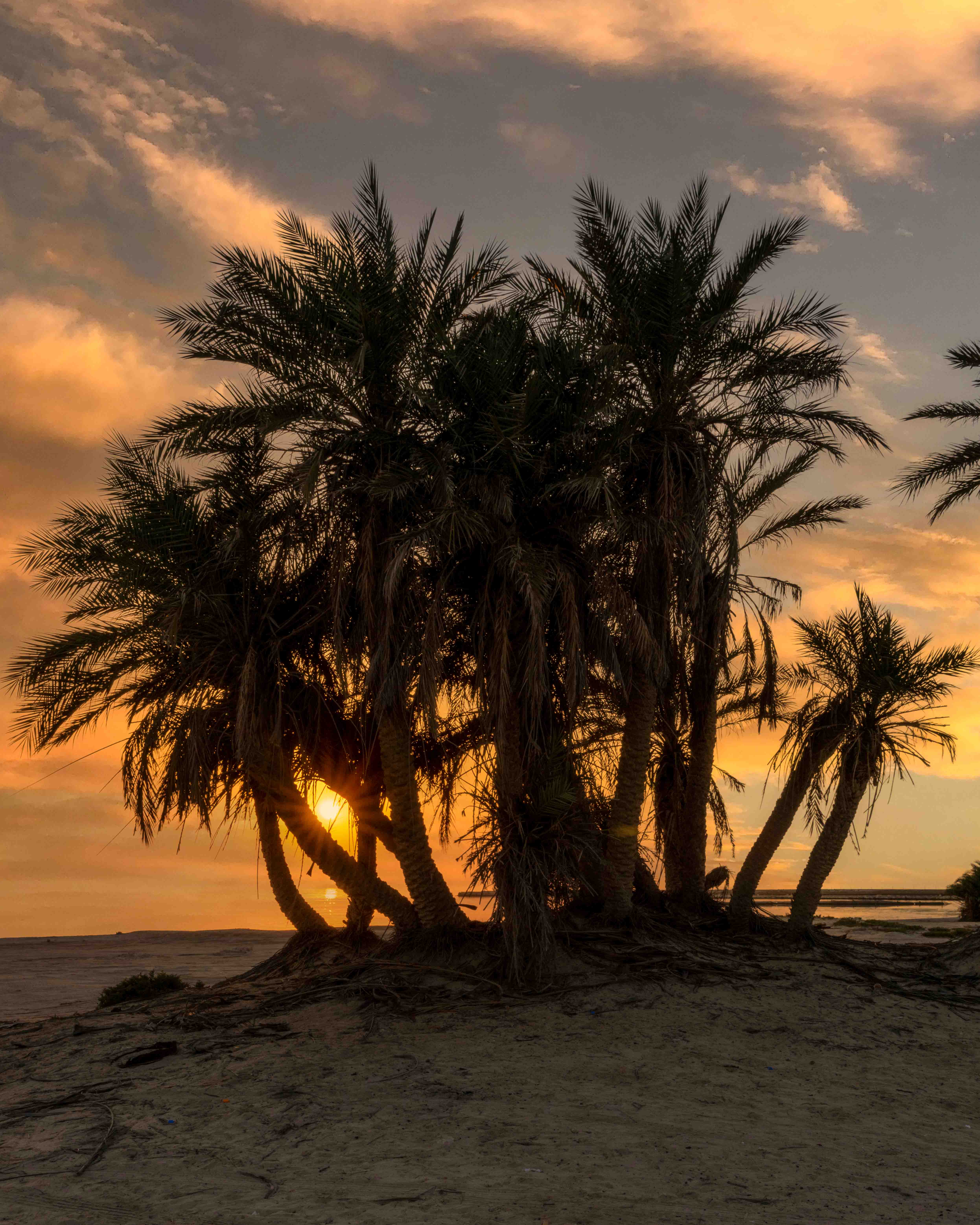 Palm Beach Sunset by Abdo Allam