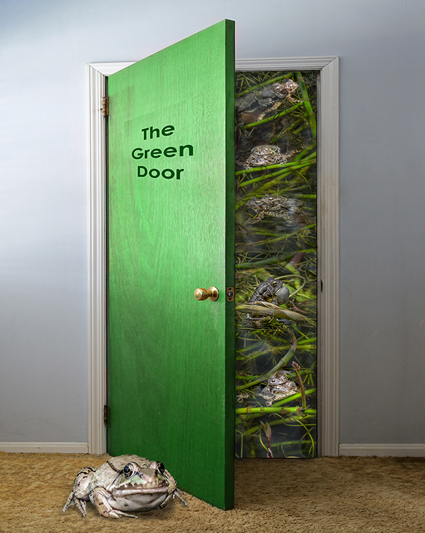 The Green Door by Karl Leck