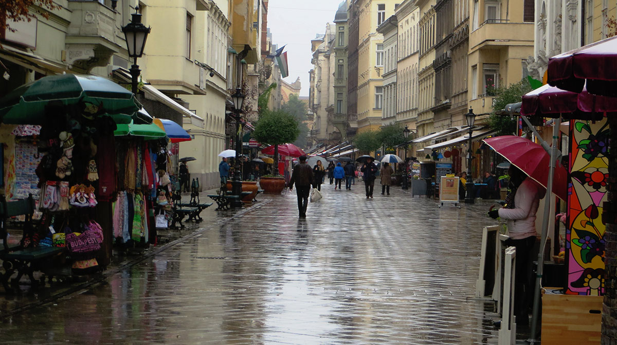Rainy Budapest by Bill Foy