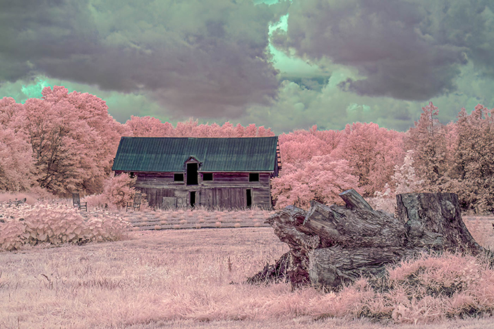 Infrared by Ralph Bridgland