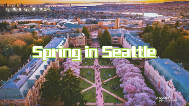 Spring In Seattle by Lillian Yang