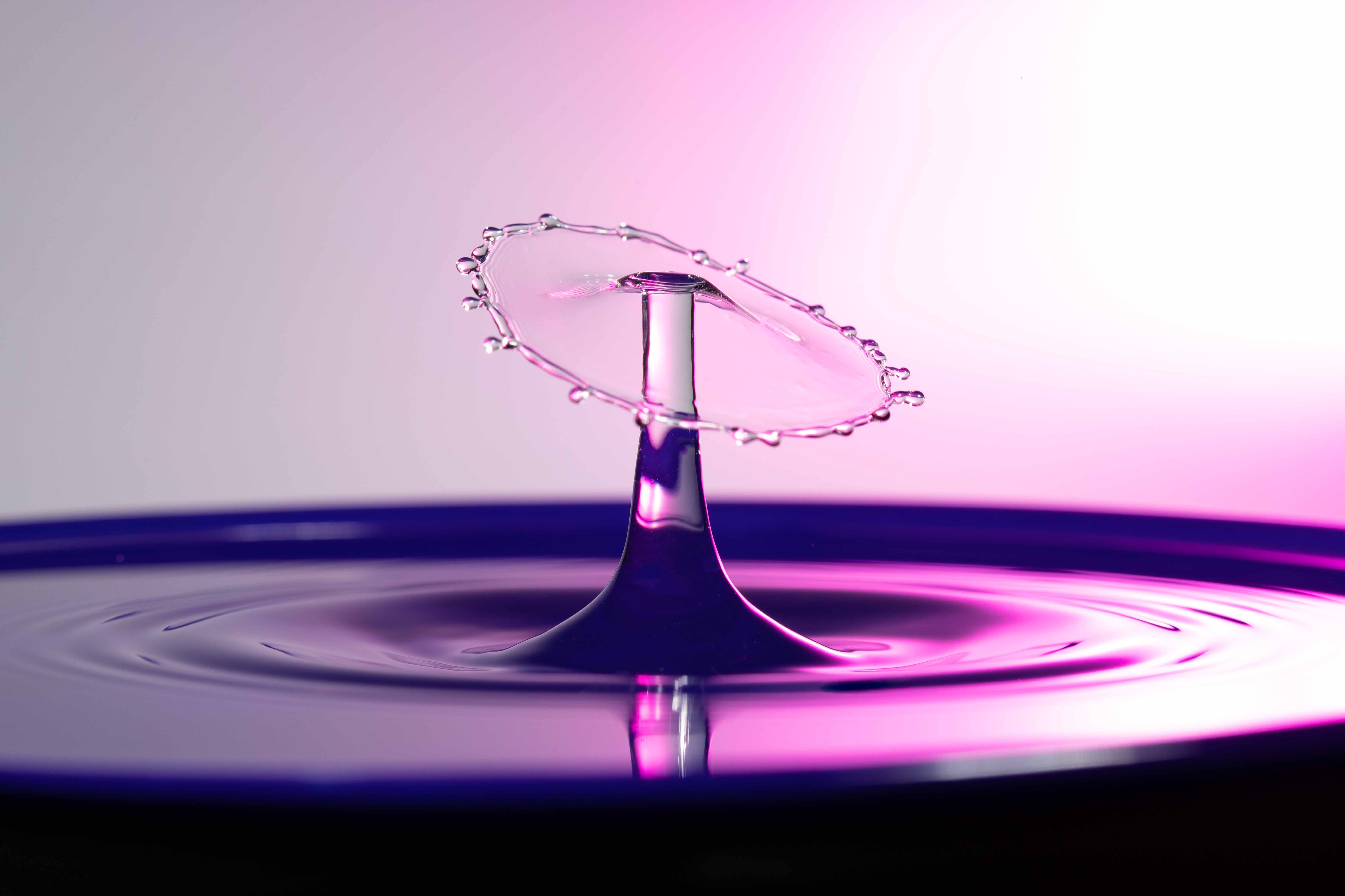 Studio Water Drop Photography by Steven Jungerwirth