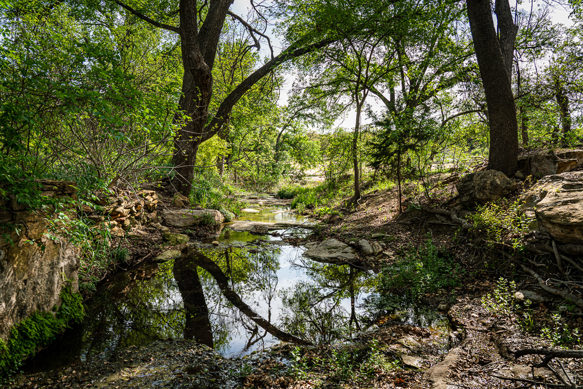 Spring Creek by Scott Messer