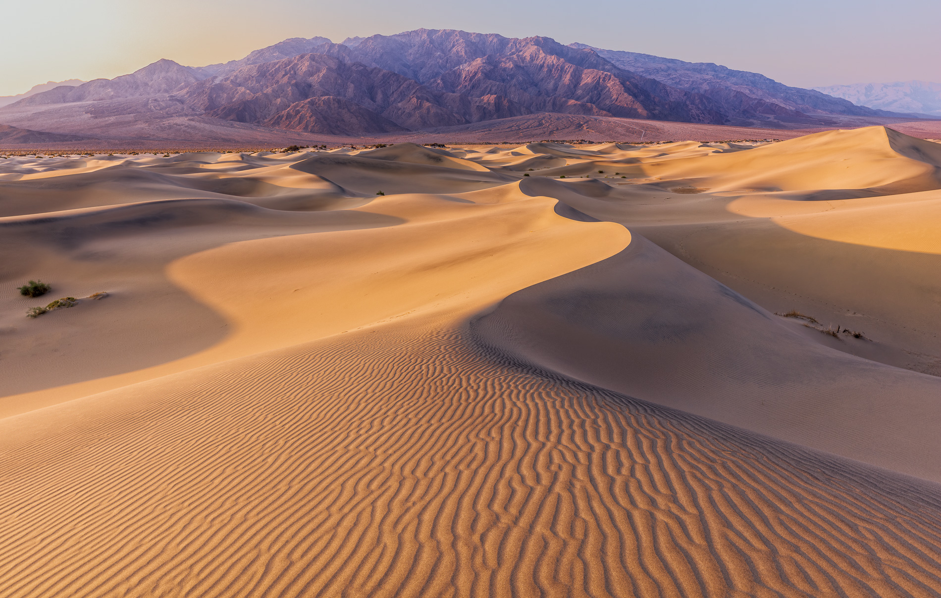 Mesquite Flat Dunes by Jeff Coyle