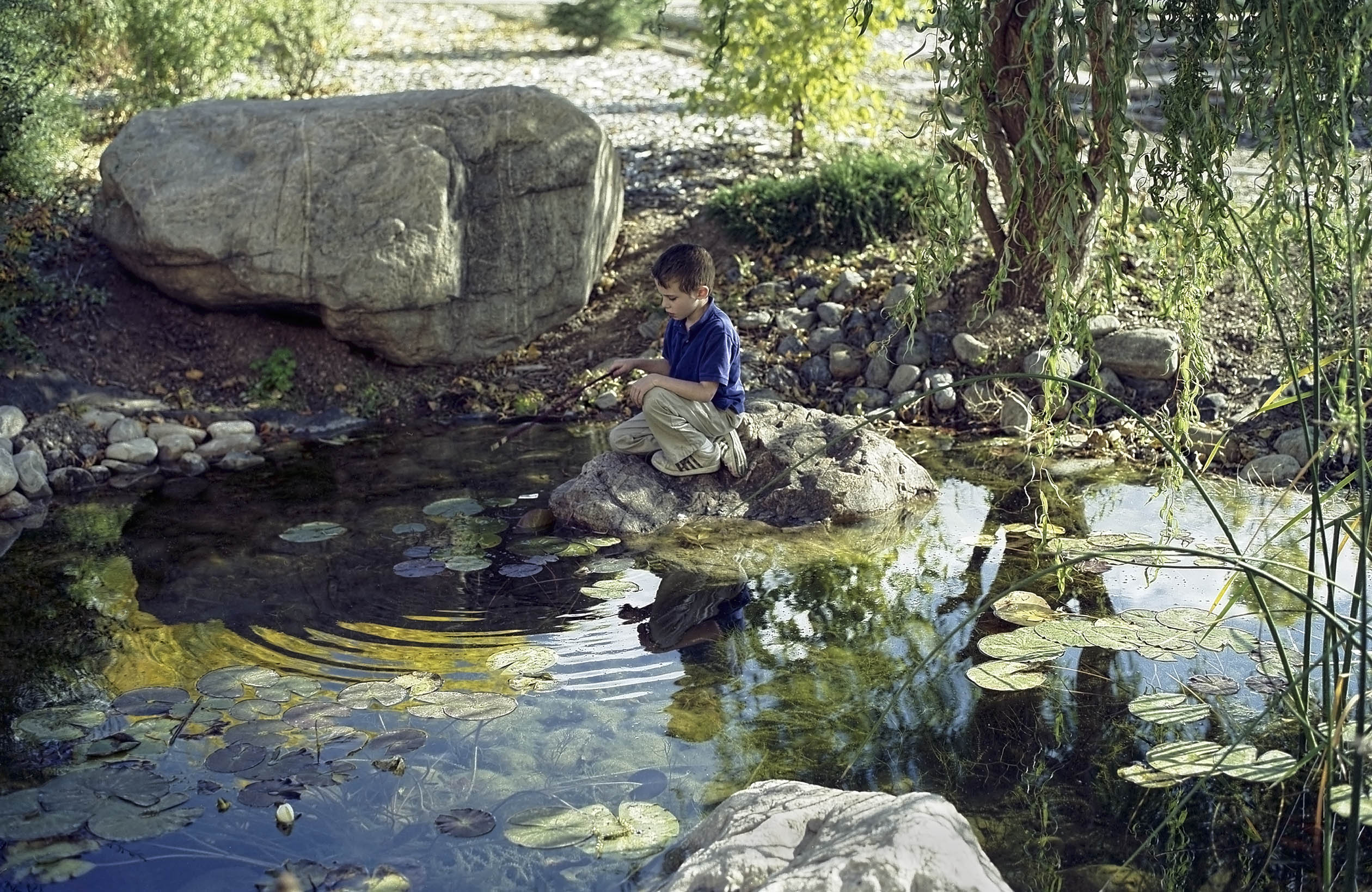 Stevenat Pond by Michael Nath