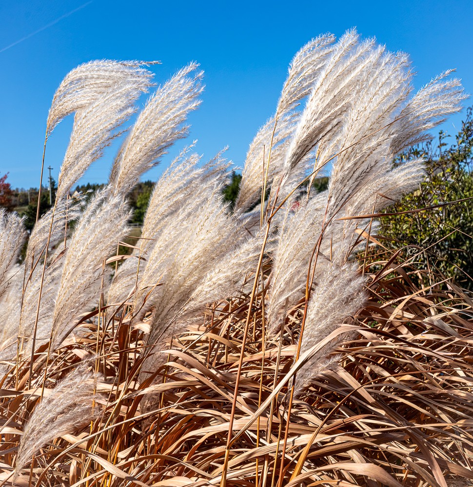 April 2026 - Joey Johnson