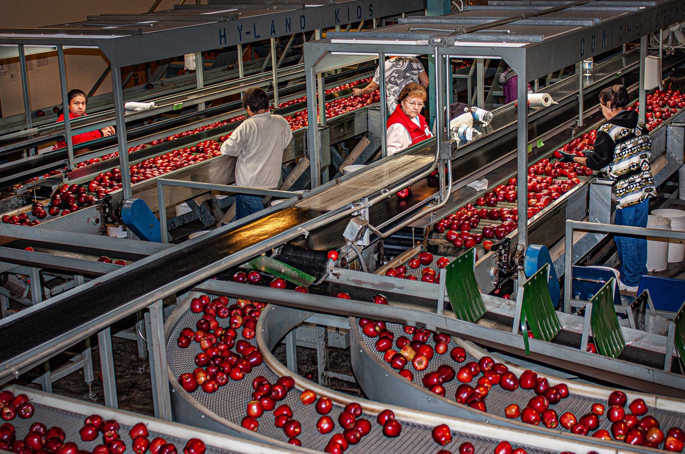 Processing Apples