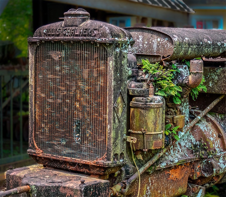 Engine Block and Foliage by Sol Blechman