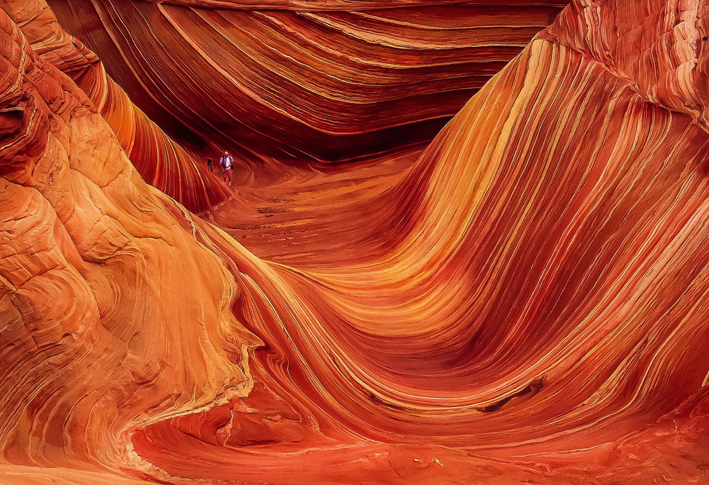 The Wave by Neal R. Thompson, M.D.