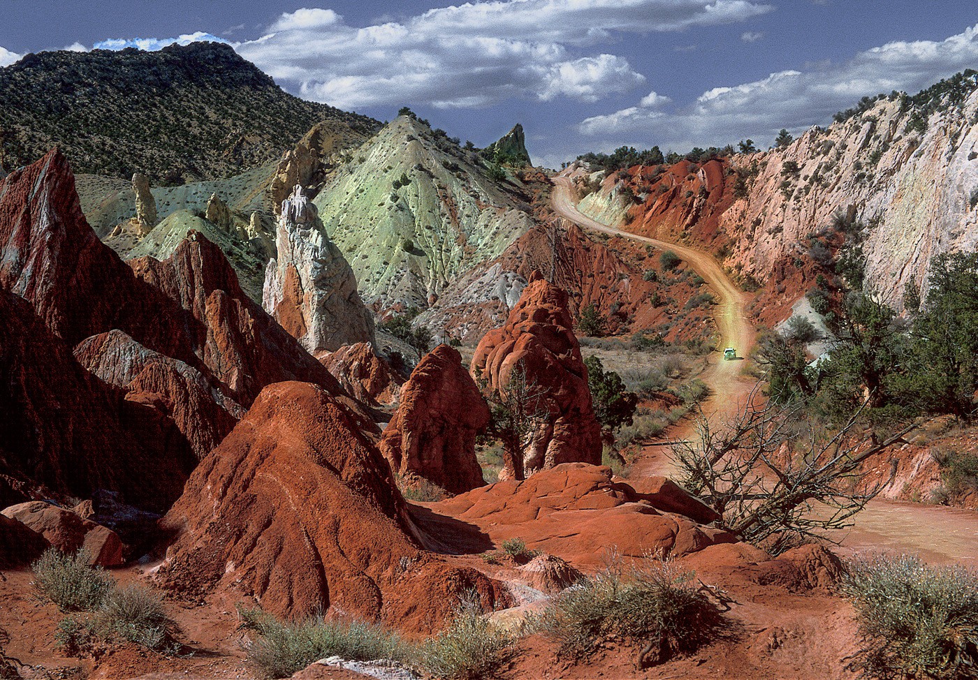 Candyland by Neal R. Thompson, M.D.