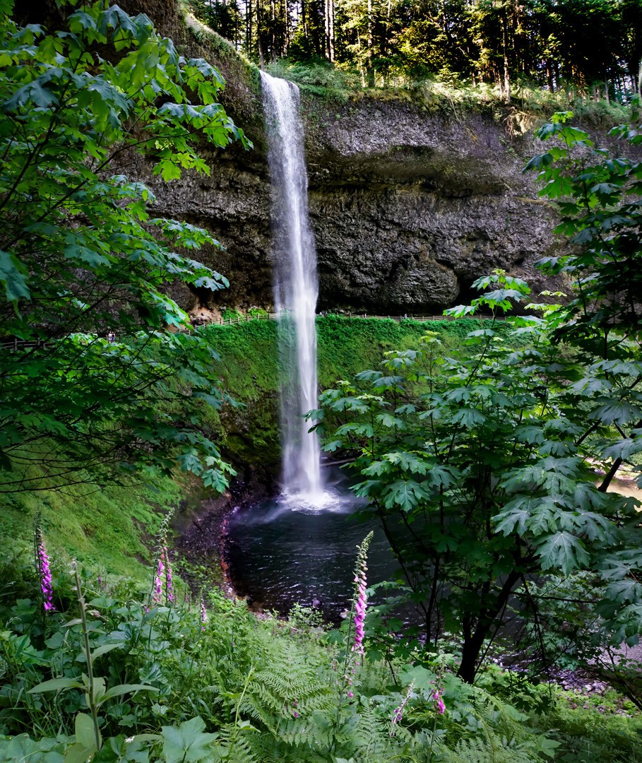 Upper Falls by Neal R. Thompson, M.D.