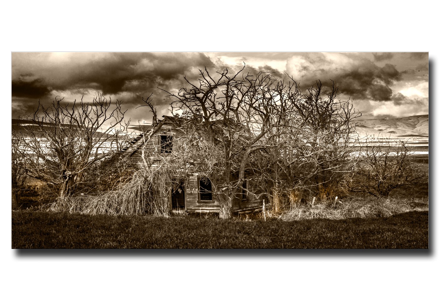 Abandoned by Neal R. Thompson, M.D.