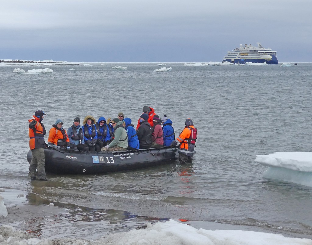 Landing by Sharon Moir