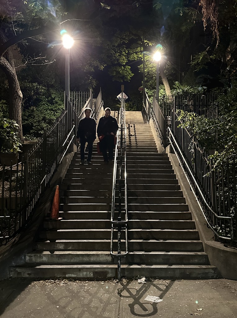 Steps by Sharon Moir