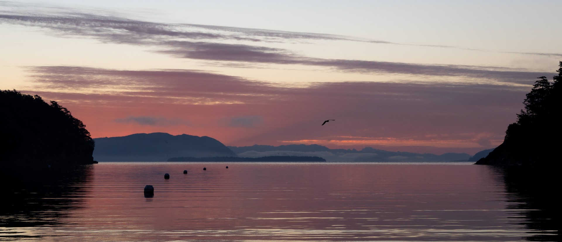 Sunrise Sucia Island by David Robb