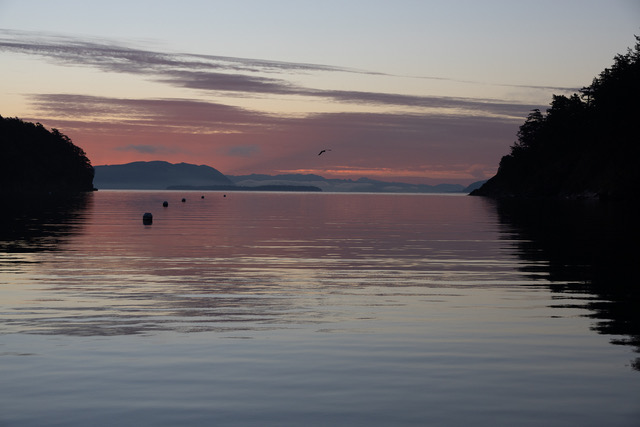 April 2026 - David Robb