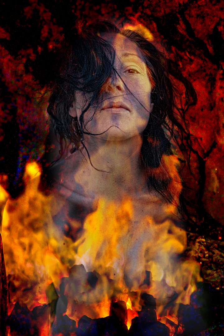Phoenix by Martin Newland