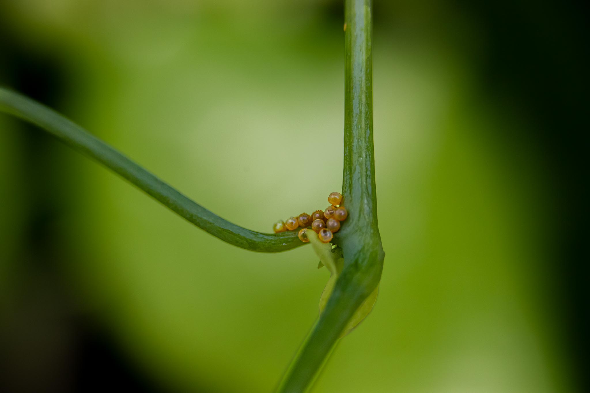 April 2026 - Jim Wulpi