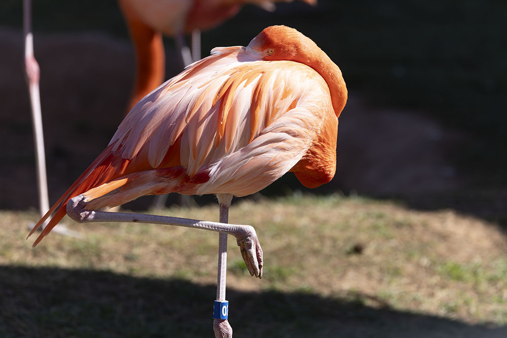 April 2026 - Piers Blackett