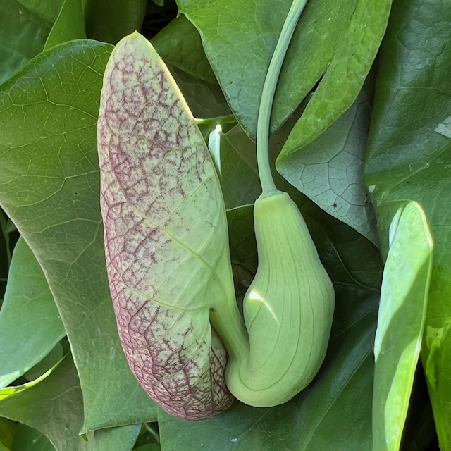 April 2026 - Jim Wulpi