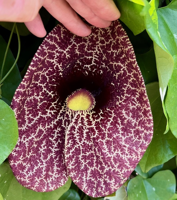 April 2026 - Jim Wulpi