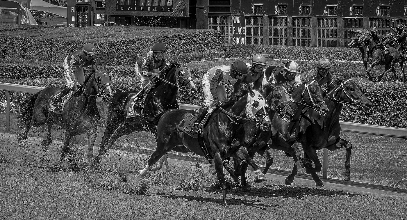 OAKLAWN IN MONOCHROME