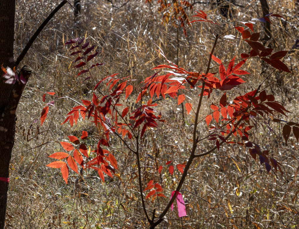 December 2025 - Piers Blackett