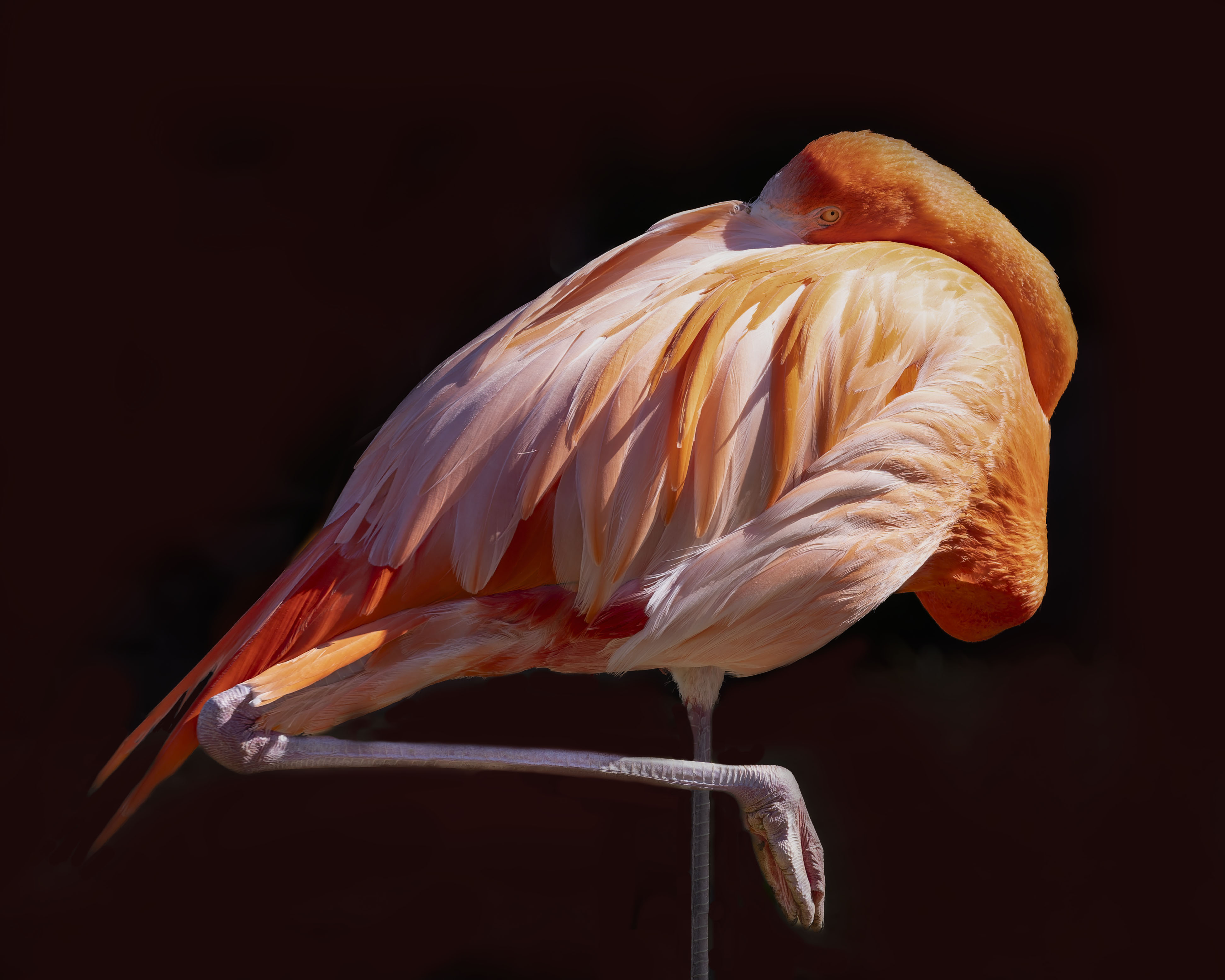 April 2026 - Piers Blackett