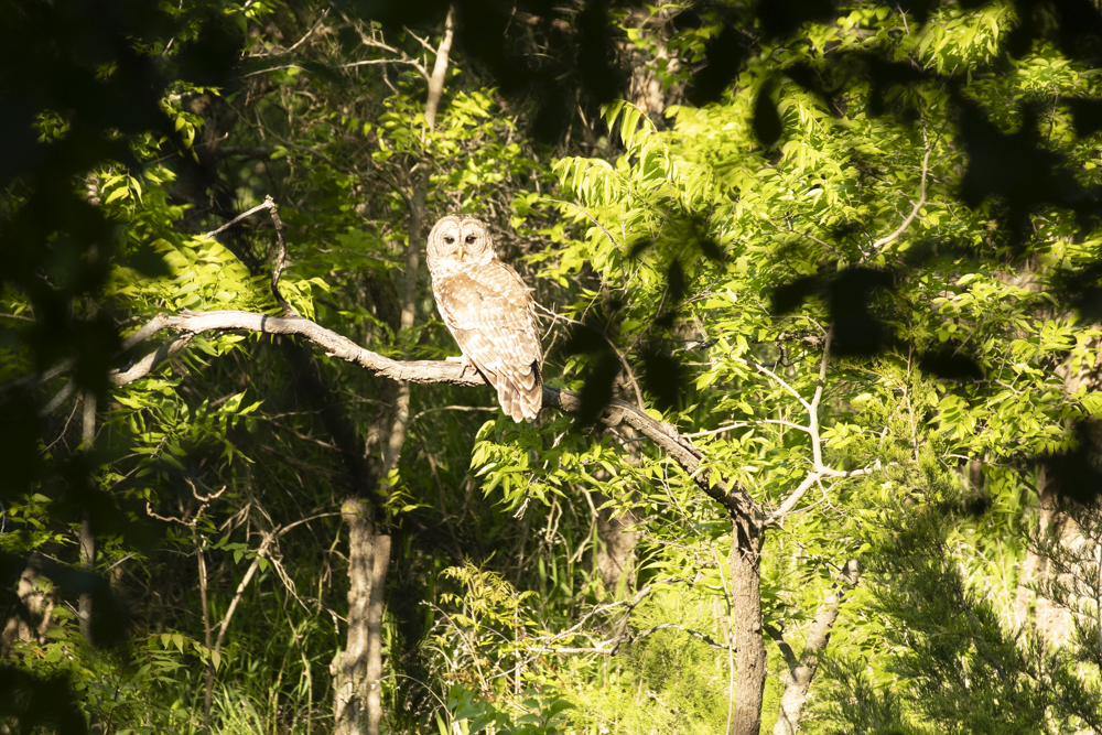 November 2025 - Piers Blackett