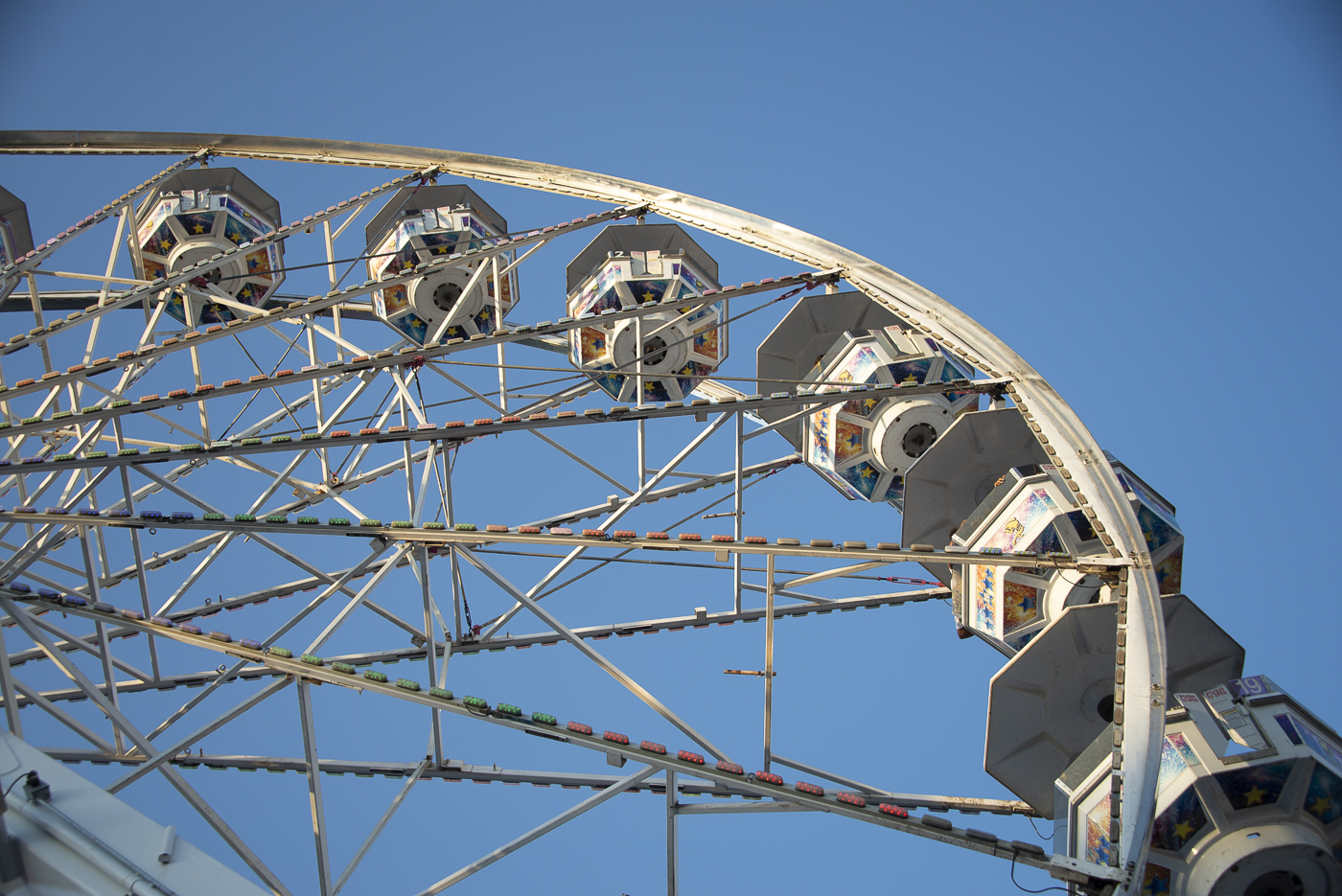 December 2025 - Shirley Pohlman