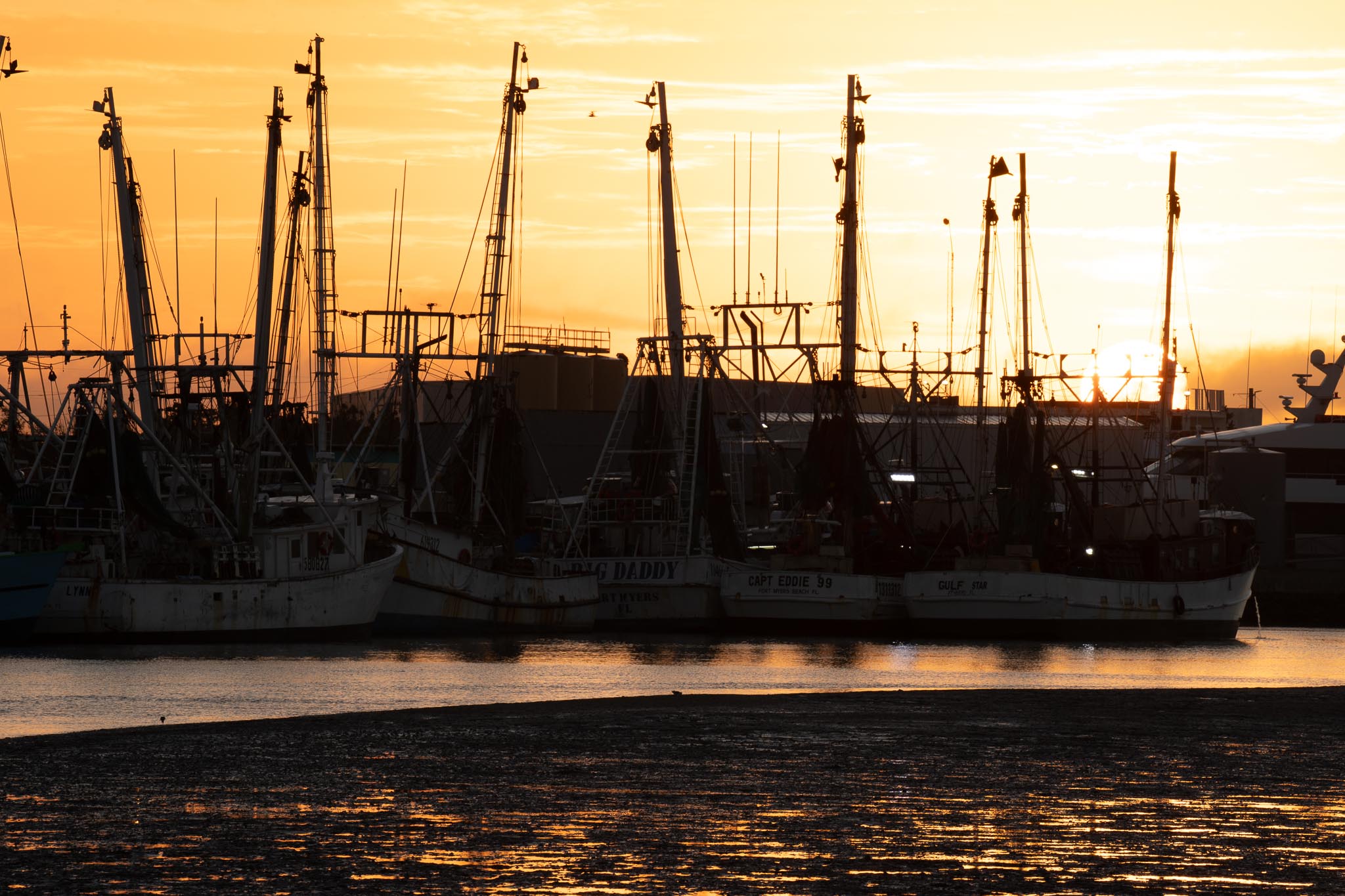 November 2025 - Jim Wulpi