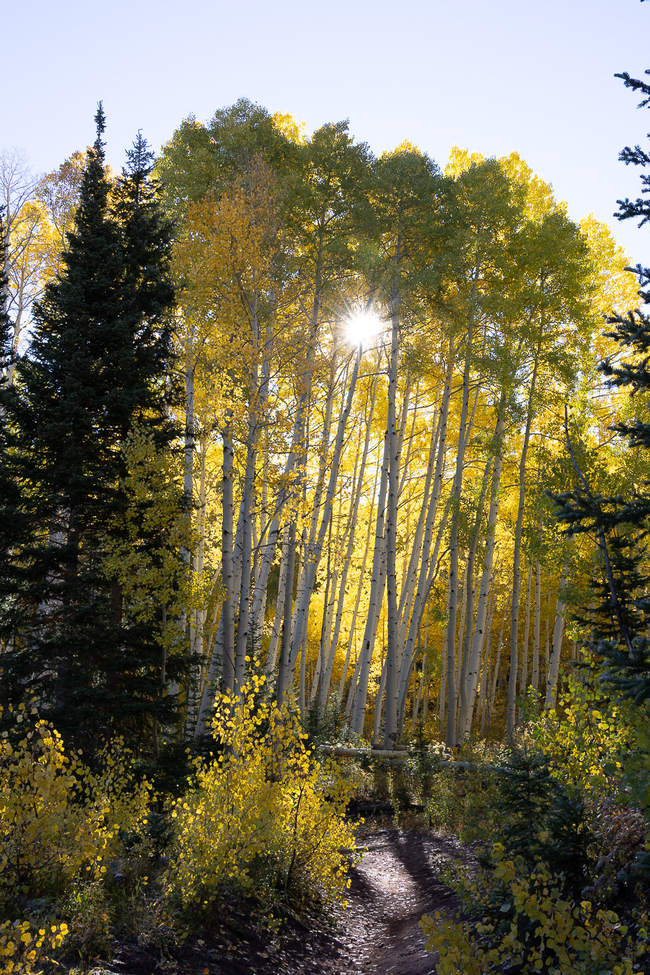 October 2025 - Ruth Sprain