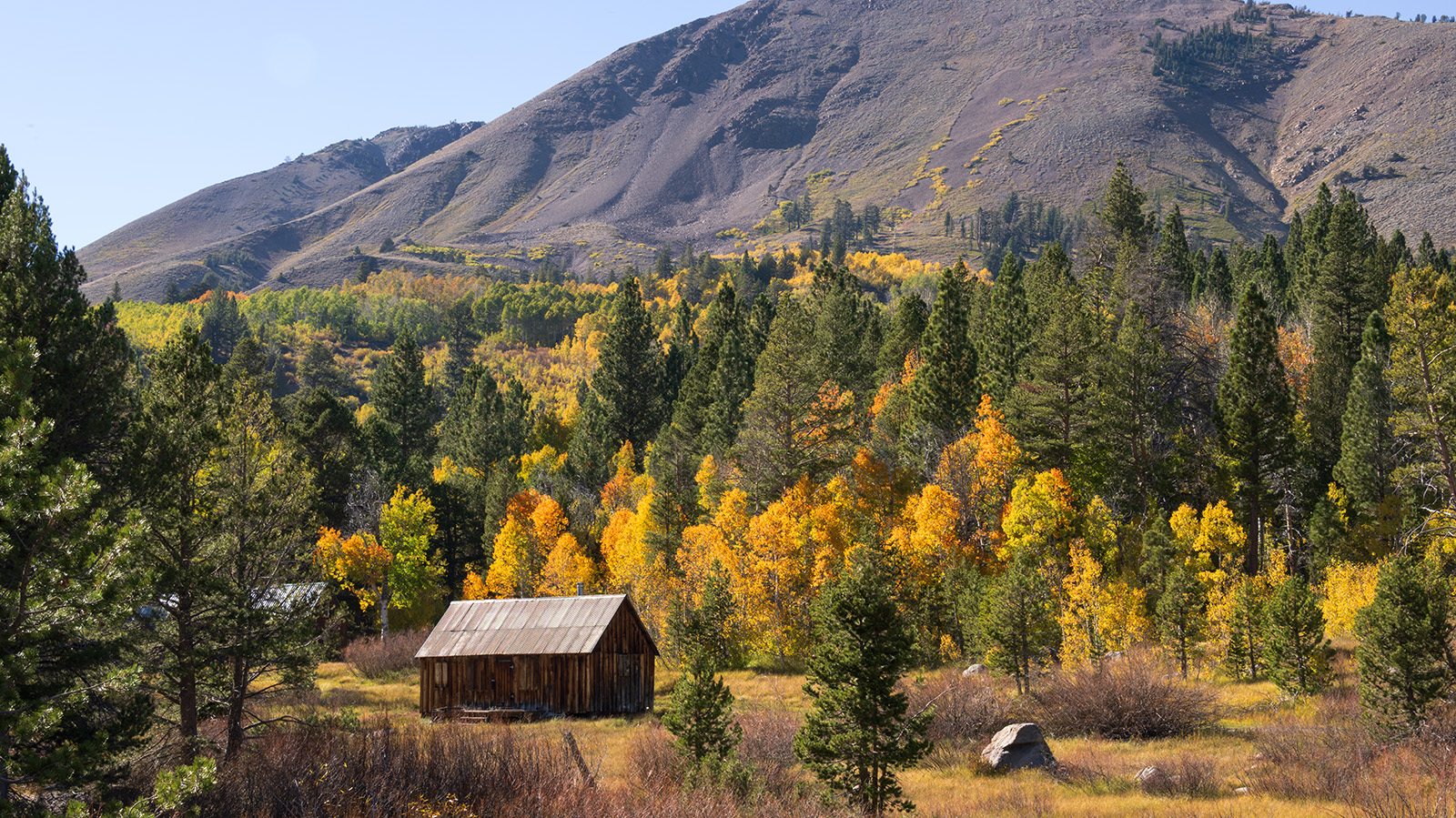  Autumn in Hope Valley by Mary Ann Carrasco