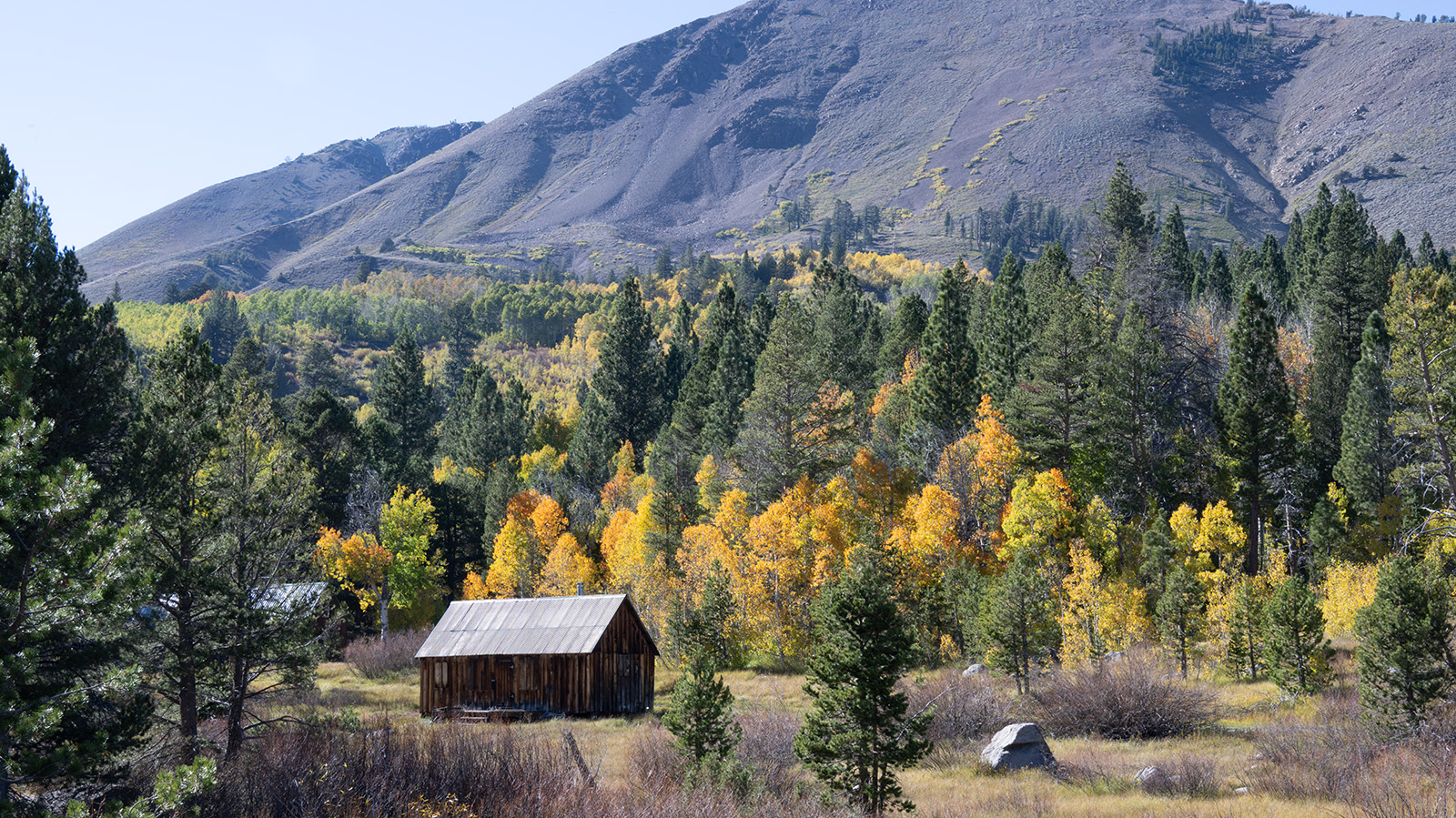 November 2025 - Mary Ann Carrasco