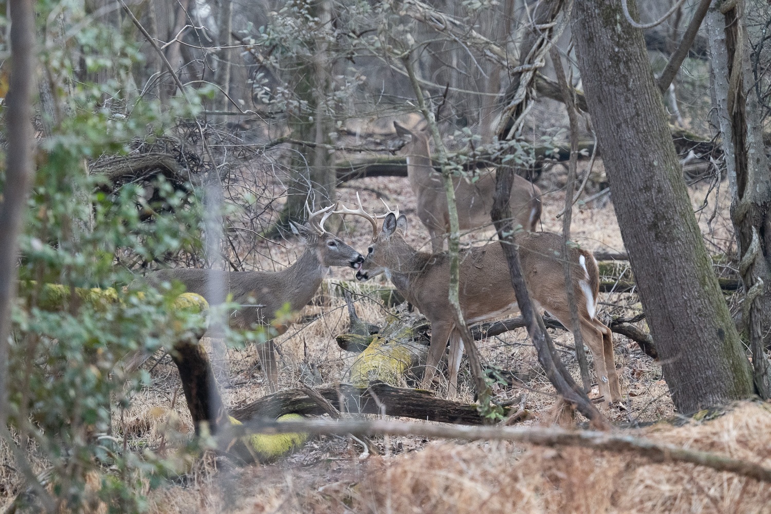 April 2026 - Robert Coleman