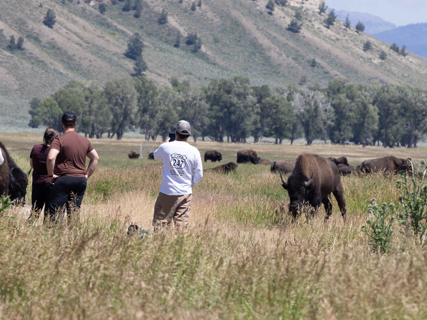 December 2025 - Ruth Sprain