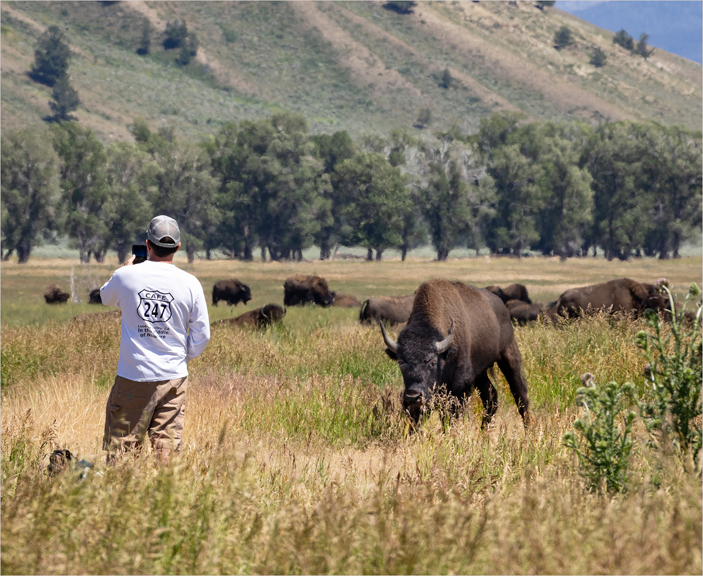 Clueless by Ruth Sprain