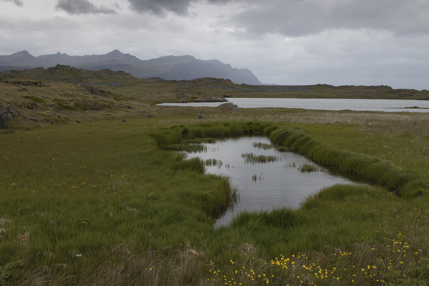 Djupivogur Iceland by Andres Valdespino