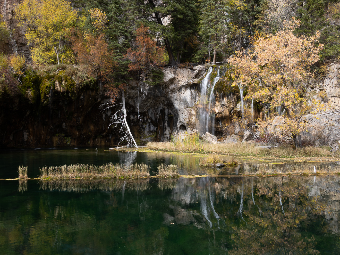 November 2025 - Ruth Sprain