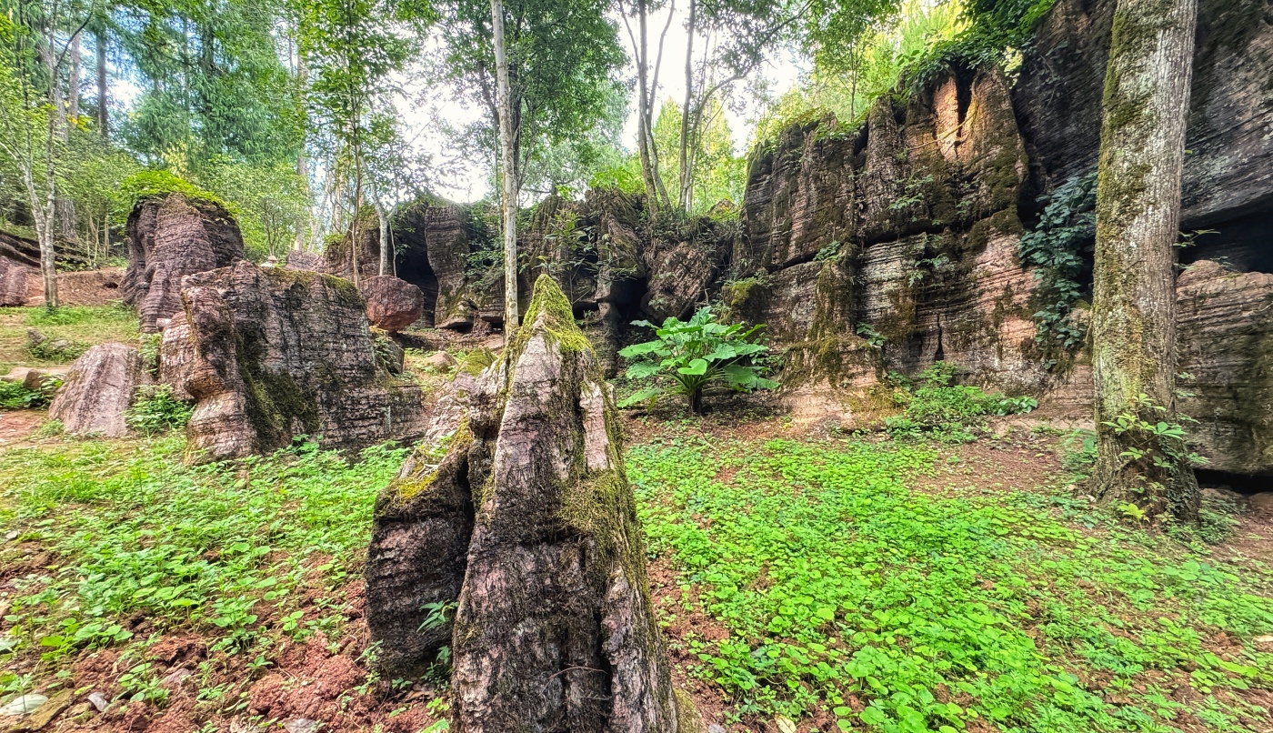 Hongshilin by Kieu-Hanh Vu