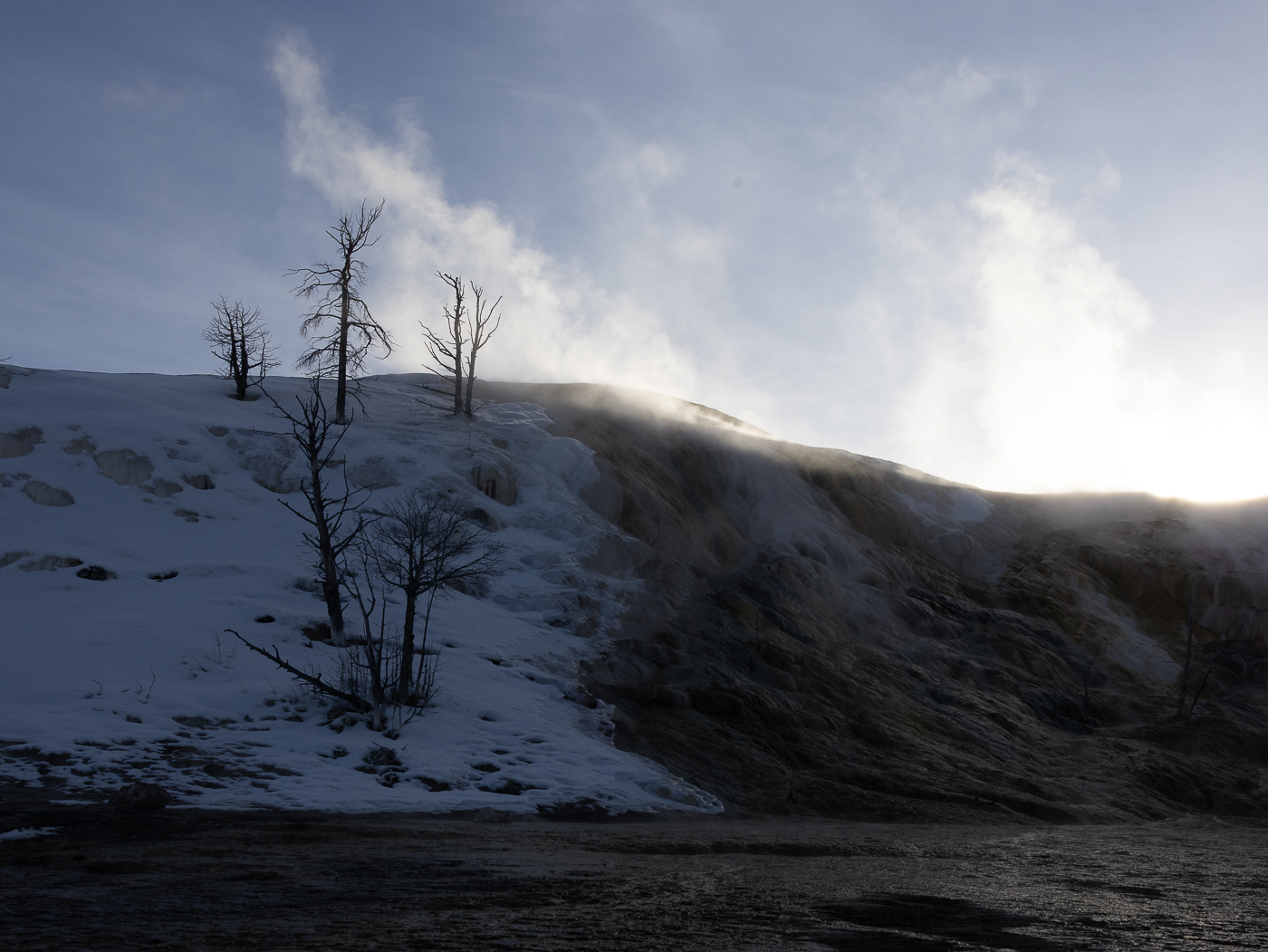 April 2026 - Ruth Sprain