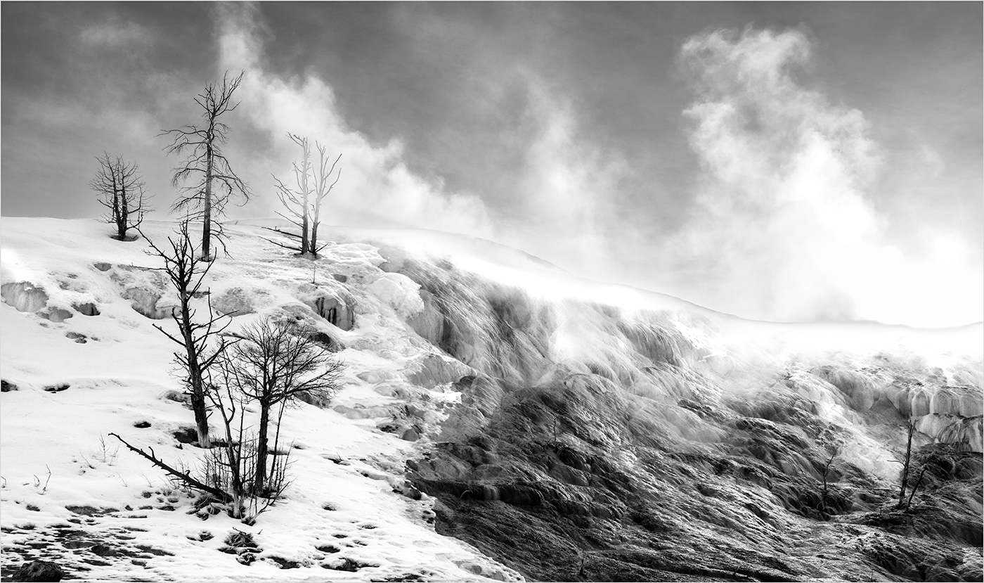Mammoth Hot Springs B&W by Ruth Sprain