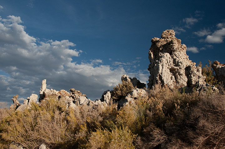  Mono Lake Tufas by Joan Field